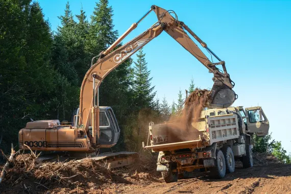 Casino Bonkers Bet Stuðningur